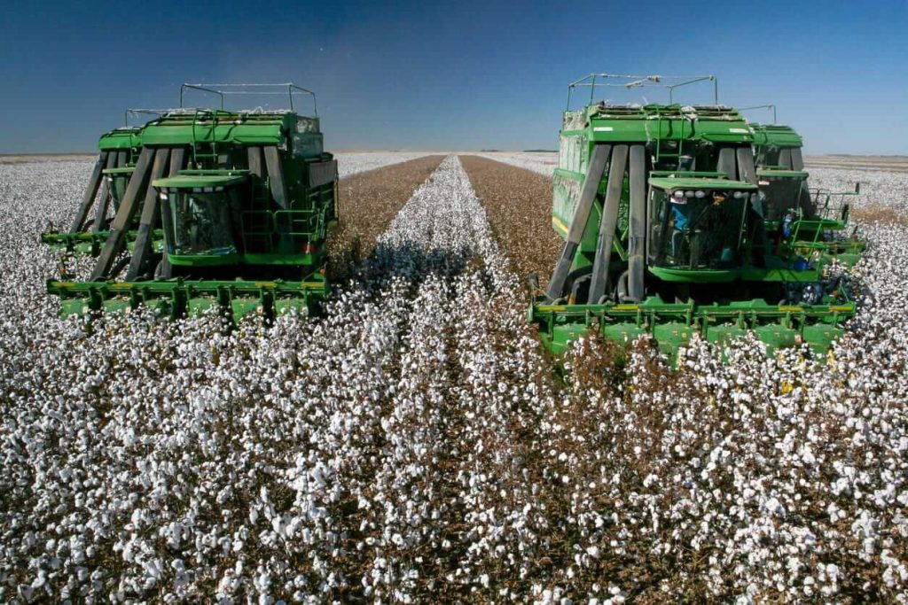 Cotton Posts Slight Thursday Gains