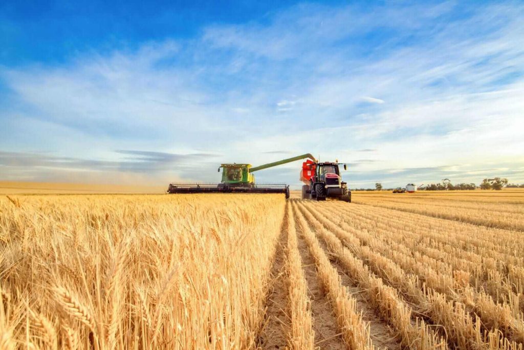 Wheat Closes Friday Mixed | Nasdaq