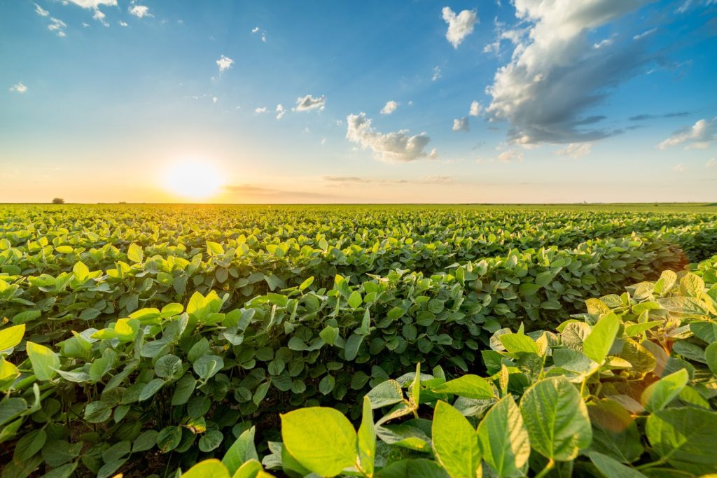 Soybeans Slipping Lower on Monday Soybeans Slipping Lower on Monday