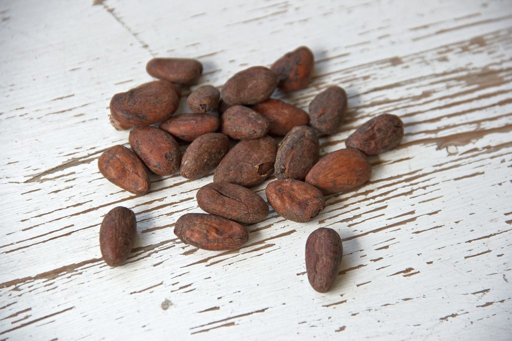 Cocoa Prices Rebound on Short Covering