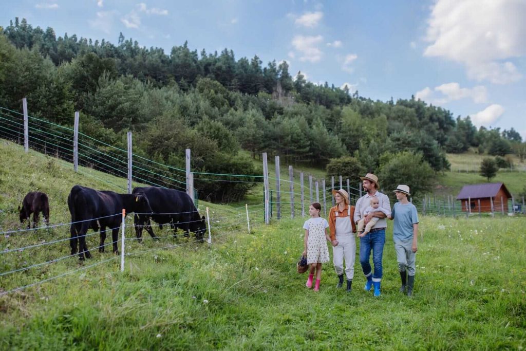Cattle Rally to Round out July