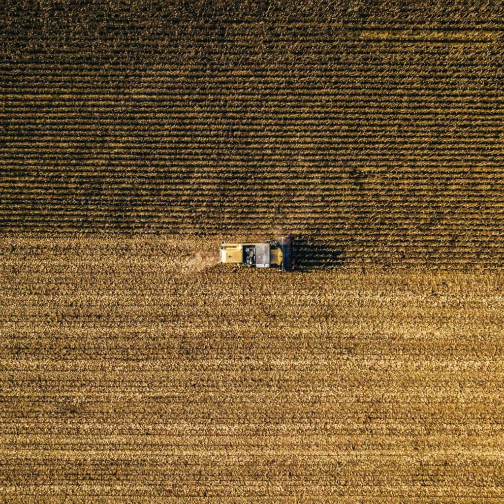 Wheat Posting Friday Losses, as USDA Hikes World Carryout