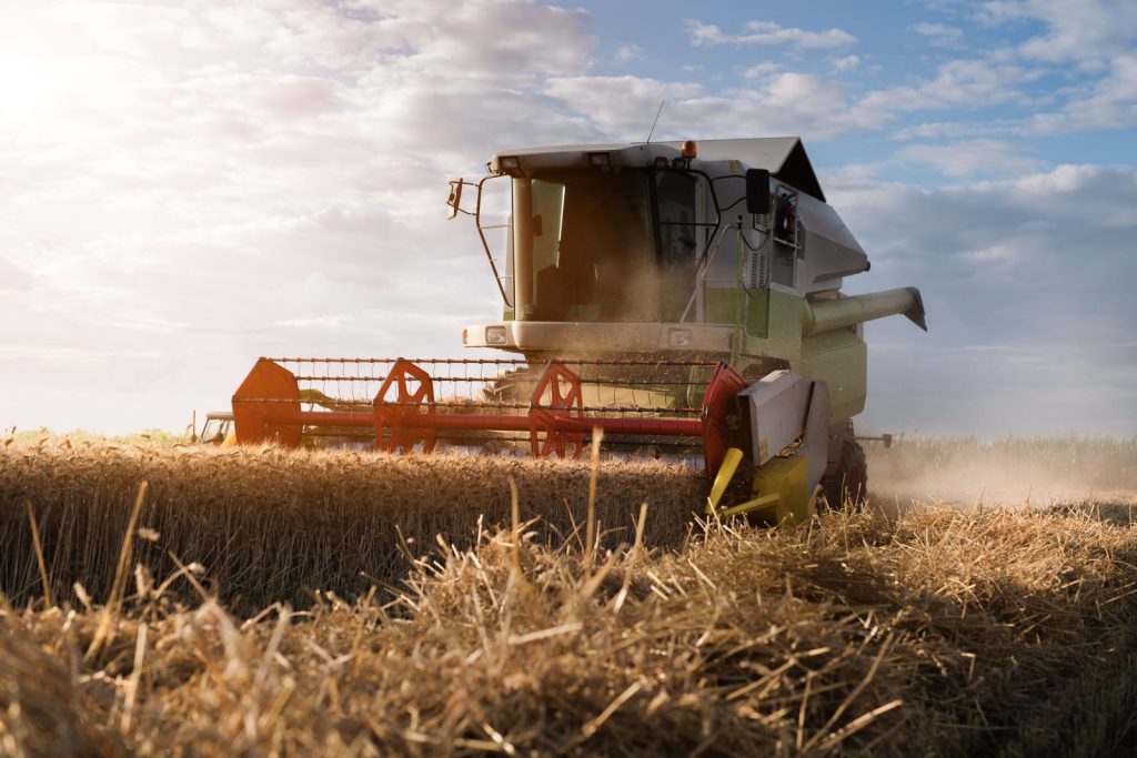 Wheat Posts Monday Losses | Nasdaq
